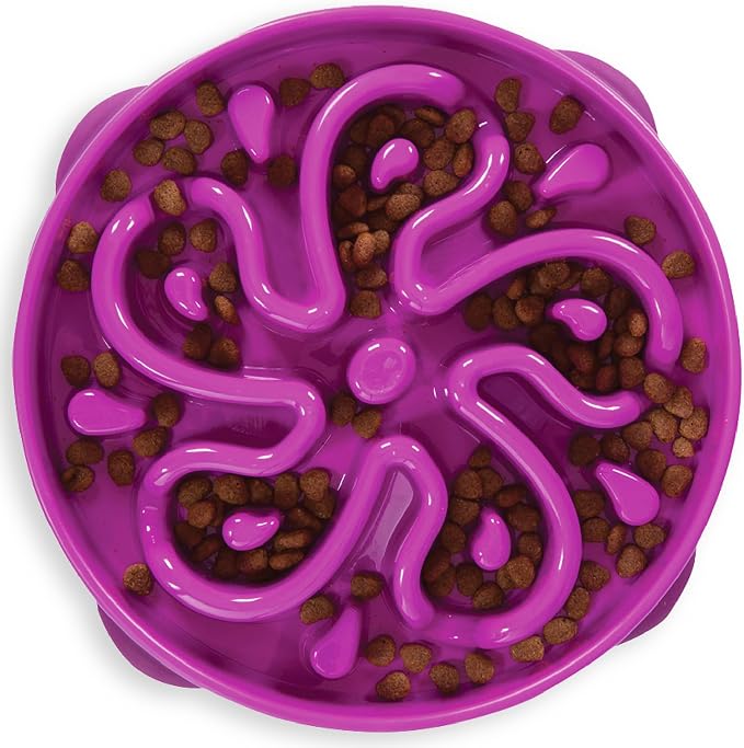 Outward Hound Fun Feeder Purple Flower Slow Feeder Dog Bowl